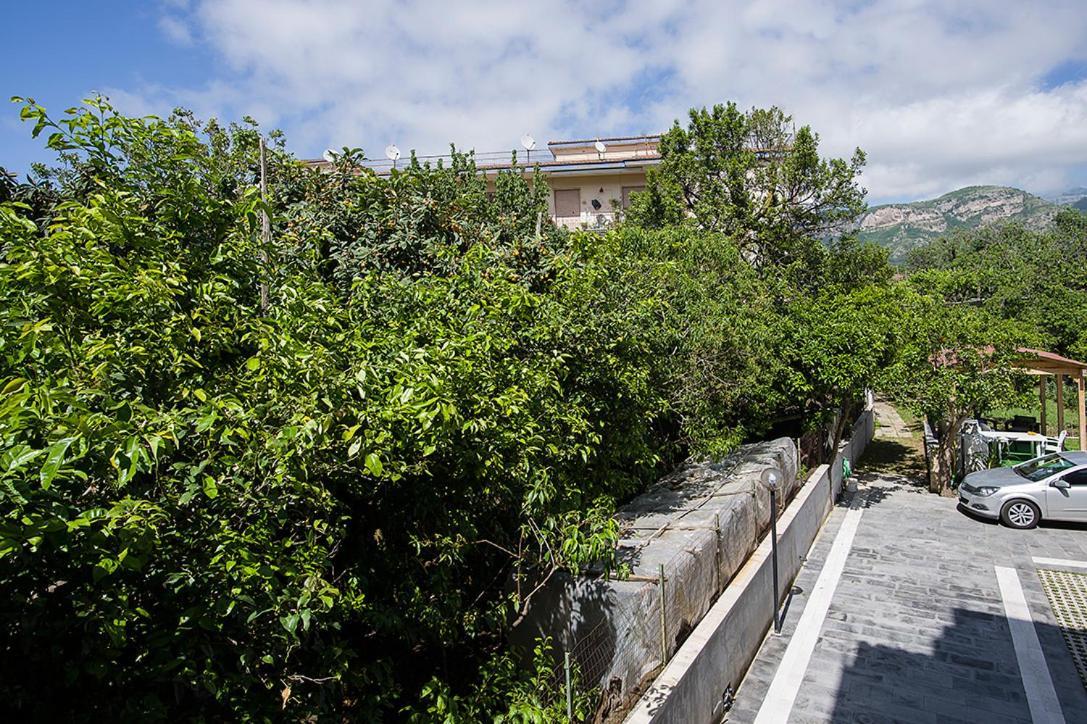 Casa Aristide Bed & Breakfast Sant'Agnello Ngoại thất bức ảnh