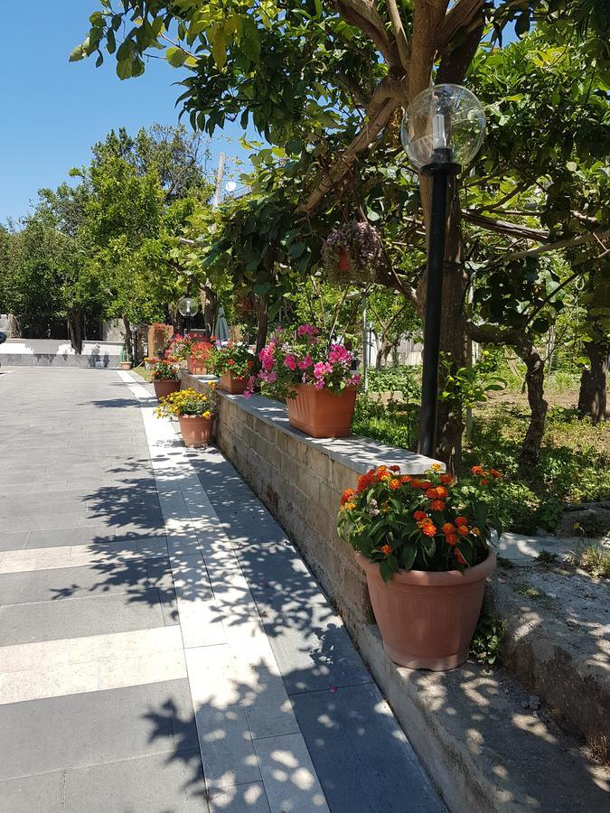 Casa Aristide Bed & Breakfast Sant'Agnello Ngoại thất bức ảnh